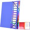 Shunwige Delamiya Cartella Espandibile Portatile A4 con 12 Scomparti, Organizer in Plastica PP Impermeabile per Ufficio e Scuola