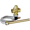 Caleffi Sicurezza di scarico termica 3/4 IG connettore verniciato cromato