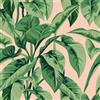 VEELIKE Carta da Parati Tropicale Jungle Rosa Carta da Parati Foglie Palma Verde Fotomurale da Parete Camera da Letto Decorazione da Parete Bagno Soggiorno Pellicola Adesiva per Mobili 44,5cm x 300cm