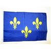 AZ FLAG Bandiera Isola di Francia 45x30 cm Poliestere 100D Cordini