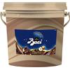 NESTLE PROFESSIONAL BACI PERUGINA PROFESSIONALE Crema Spalmabile con Granella di Nocciole, Secchiello 3kg