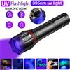 KDULIT Torcia UV a LED da 395nm Torcia zoomabile ricaricabile per strumenti rilevatore di macchie di urina per animali domestici Rilevatore di fluorescenza di denaro a lanterna