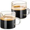 Scalewbin Set di 2 tazzine da caffè con doppio beccuccio, bicchieri da caffè espresso con manico, in vetro trasparente, per espresso