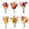 FENGQQKJ 6 mazzi di fiori secchi mini fiori secchi reali per artigianato boho bouquet di fiori secchi rosso piccolo bouquet fatto a mano secchi fai da te fiori secchi decorazione floreale per cornici