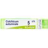 BOIRON Srl COLCHICUM AUT BOI*5CH 80GR