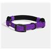 RINGHIO Collare Smile Col. TOTAL BLACK per Cani L-VIOLA 42-51 cm