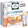 L'Angelica, Waterstick Brucia Grassi, Gusto Passion Fruit e Pesca, Con Moringa, Cola, Zero Zucceri, Zero Calorie, Vitamine, Minerali, 1 Astuccio da 12 Stick