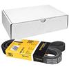 CONTITECH 6PK1915 Cinghia servizi