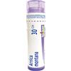 BOIRON Srl Arnica Montana 30CH Boiron Globuli 1g
