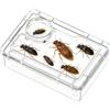Bsbkoj per rettili | Trasparenti per Terrari Rettili - Cibo Anti-Perdite per Lucertole | Camaleonte Iguane Tarentule Habitat Terrarium Casa Ufficio