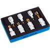 Hazet 163-243/7 Serie di Inserti Chiave a Bussola per Giraviti Xzn, Oro, Attacco Quadro, Cavo, 12.5 mm 1/2 di Pollice