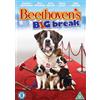 Universal Pictures Beethoven's Big Break (DVD) Oscar Nunez Oscar Nuñez Cesar Millan Maria Ford