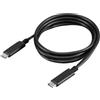 Lenovo FRU Cavo USB-C Gen2 (W125691048)