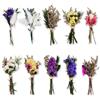 Nivofu 10 Mazzi Mini Bouquet Fiori Secchi Naturali 8-10 cm, Fiori Secchi Decorativi per Fai da Te, Scrapbooking, Resina, Nozze, Decorazione Casa