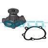 DAYCO POMPA ACQUA