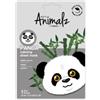 Masque Bar PRETTY ANIMALZ Maschera Viso Lenitiva - Panda - trasparente - 21ml