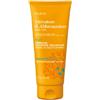 Pupa ATTIVATORE DI ABBRONZATURA CORPO E VISO Acceleratore di Abbronzatura - - 200ml