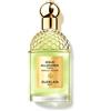 Guerlain AQUA ALLEGORIA - NEROLIA VETIVER FORTE Eau De Parfum - trasparente - 75ml