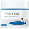 Round Lab BIRCH JUICE MOISTURIZING CREAM Crema Viso Purificante - trasparente - 80ml
