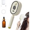 Generico Spazzola a Vapore per Capelli, Ferro Arricciacapelli a Vapore Ricaricabile, Pettine Antistatico, Massaggio Cuscino d'Aria, Regalo con Olio e Misurino - Ideale per Lisciare Capelli Ricci o Spessi