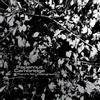 Papernut Cambridge There's no underground (Vinyl LP) 7" Single