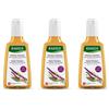 Rausch Ag Kreuzlingen RAUSCH Shampoo Riparatore Alla Camomilla E All'Amaranto 3x200 ml