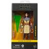 Hasbro Star Wars La Serie Nera Quinlan Vos, 4 anni, Multicolore