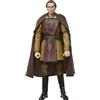 Hasbro Star Wars: I racconti dei Jedi Serie Nera Actionfigur Maestro Jedi Dooku 15 cm