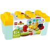 BabyChic Lego - Duplo My First Giardino biologico