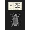 Perrone A Praga con Kafka. Le vie, le case, i ricordi