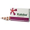 KALOBA*21CPR RIV - KALOBA - 038135012