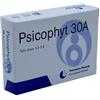 BIOGROUP PSICOPHYT REMEDY 30A 4TUB 1,2G - BIOGROUP - 903973865