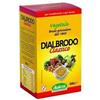 DIALBRODO CLASSICO 500G - DIALBRODO - 908333115