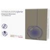 OFF Vitreolisina Forte 30 Compresse - OFF - 972725117