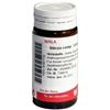 WALA ITALIA SILICEA COMP 20G GL WALA - WALA ITALIA - 800597130