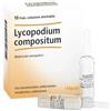 LYCOPODIUM COMP 10F 2,2ML HEEL - - 800146122