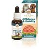 DIFFIDENCE & TIMIDITY 30ML - - 935168791
