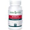 Erba vita group spa Boswellia Serrata 60 Capsule 400 Mg - ERBA VITA - 903930156