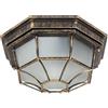 ARTE LAMP Luce a soffitto esterna in metallo nero con paraluce in vetro bianco - Lampada con cavo