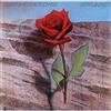 Keith Jarrett Death And The Flower (CD)