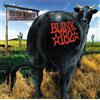 Blink-182 Dude Ranch (Vinyl LP) 12" Album