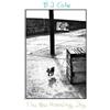 B.J. Cole The New Hovering Dog (CD) Album