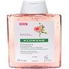 Klorane Sh - Shampoo lenitivo alla peonia, 200 ml