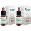 forzavitale Ecosol Quintessenza Di Cannella Gocce 2x10 ml orali