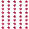 QUARKZMAN 40Pcs Fiori Pressati Essiccati 0.24-0.31 Fiori Di Narciso Colorati All'ingrosso Per Nail Art Resina Gioielli Candele Carte Scrapbooking Decori Cover Telefono Rosa