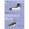 Marianne Taylor RSPB ID Spotlight - Wetland Birds (Mixed Media Product) RSPB