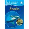 Anita Ganeri Kingfisher Readers: Sharks (Level 4: Reading Alone) (Ki (Tascabile)
