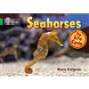 Mara Bergman Seahorses (Tascabile) Collins Big Cat