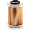 Mann Filter MANN-FILTER H 43/2 Filtro dell'olio - per Applicazioni fuori strada