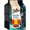 Sheba Délices du Jour 12 x 50 g - Manzo, Pollo, Agnello in salsa